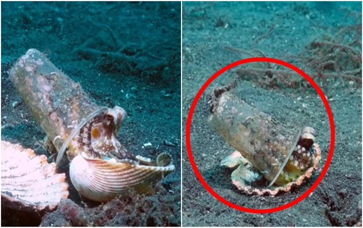 99509C3E5FC9AEEF1546A2