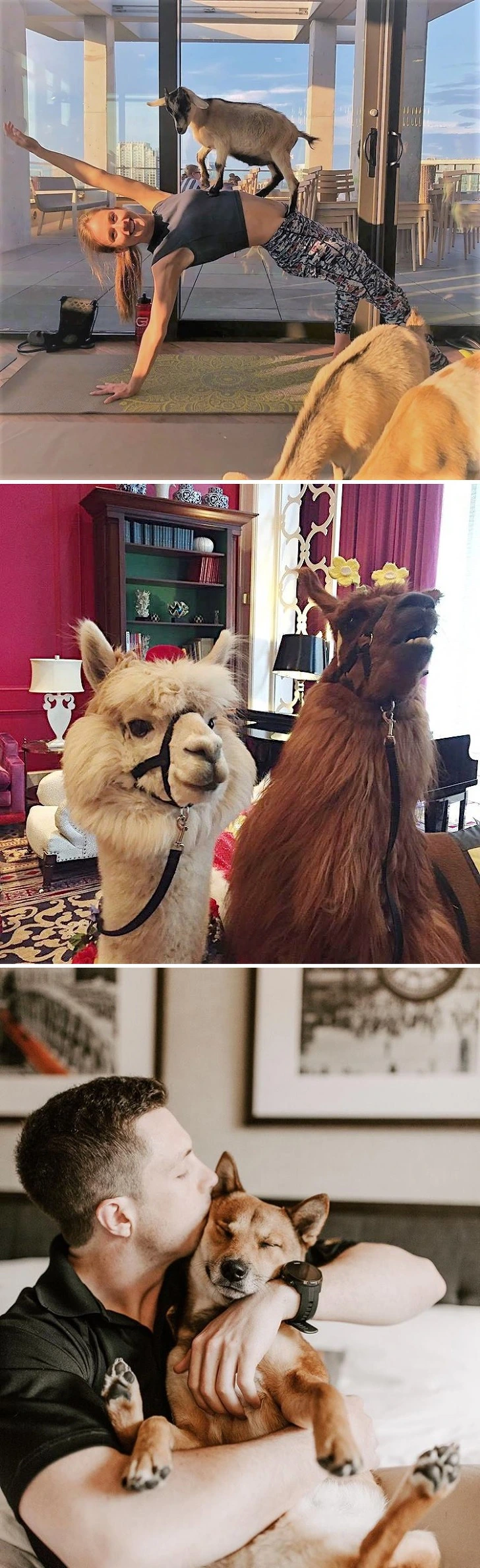 995EB2465C84D6E5010E0F