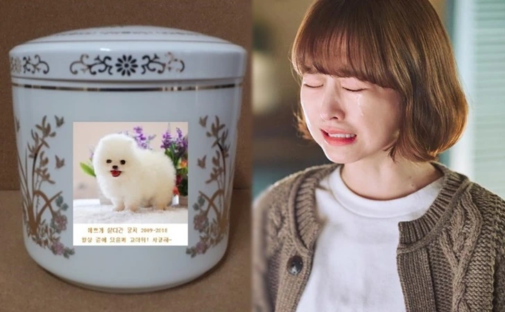 99B631345FFE720D0DE34A