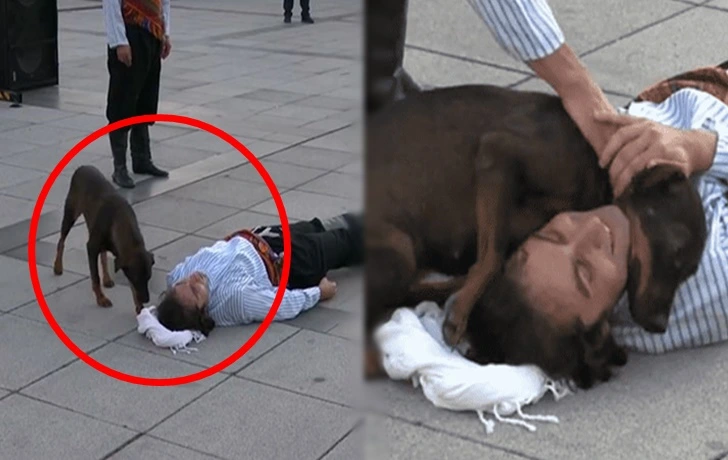 994BE1335F61AEAD15089B