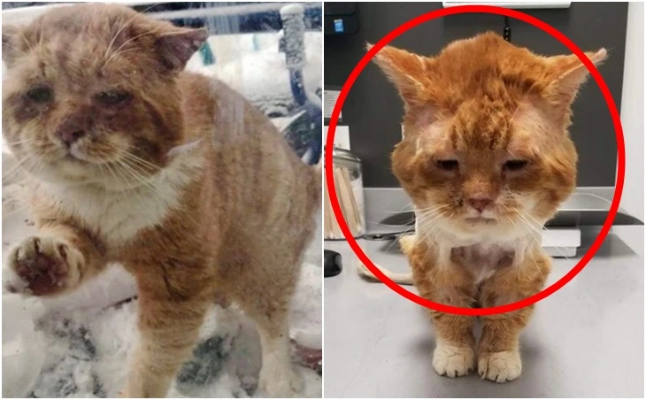 99DA86505FEEDB5918C109