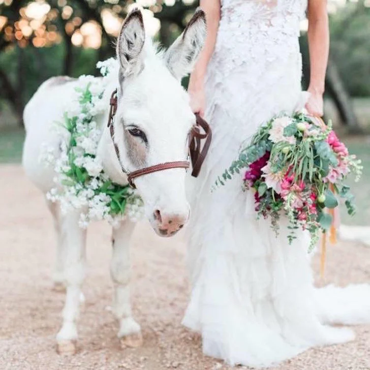 9936FC3C5CD408BD05752E