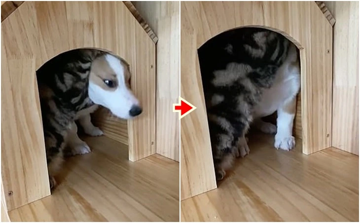 9944404A5FD177331D0F2C