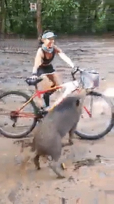 991EE6355FBB6EEB04776B