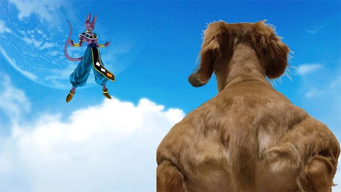 99F39D465F2A4DBF107551