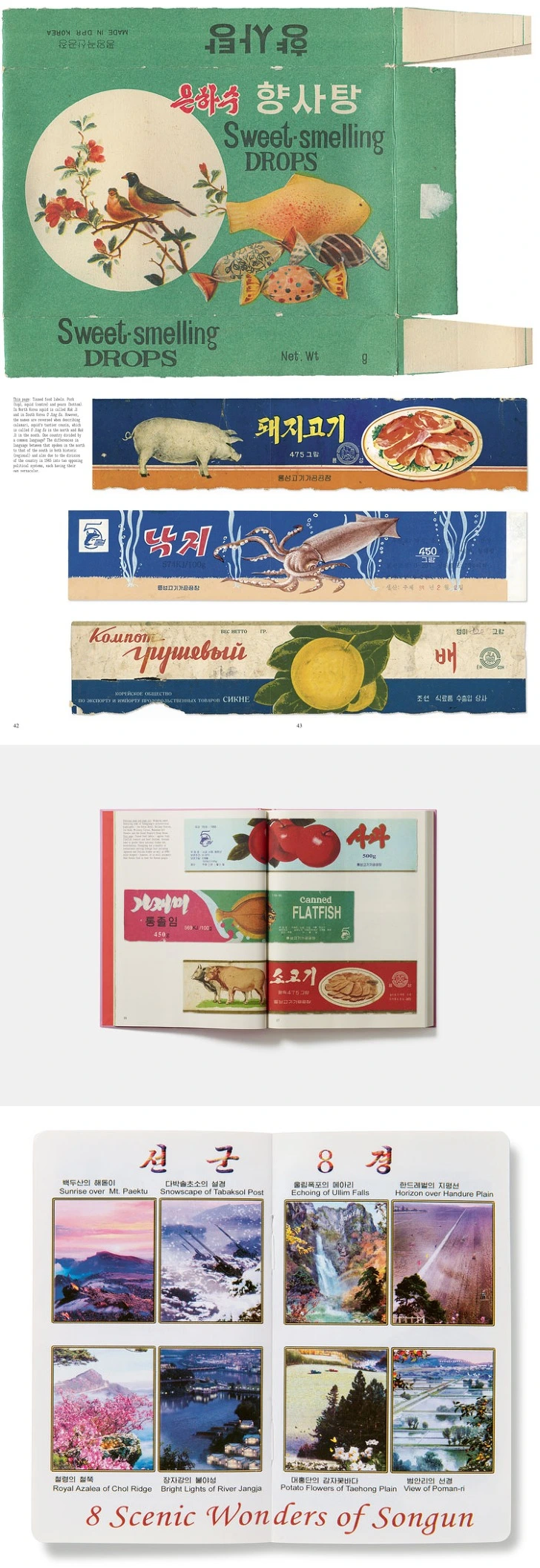 99BD164C5C5949362FC5E2