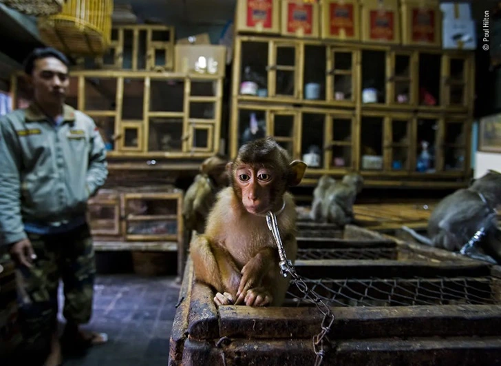 996275395F8837941CCD13