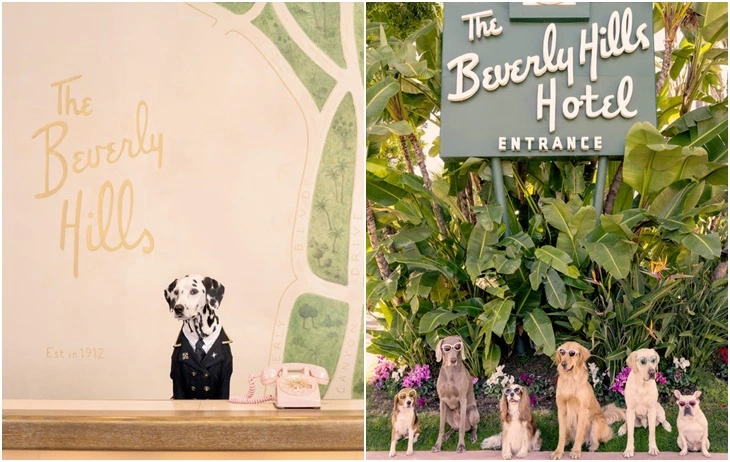 9946613B5F8842A4250CF4