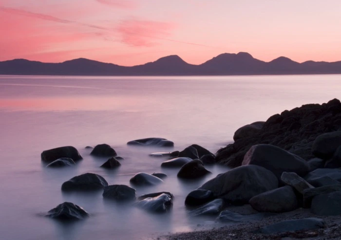 99F458455D89E24C30312B