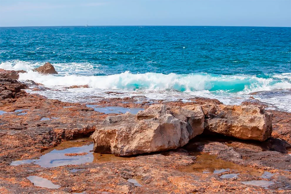 99E067335F51CF0411E8A4