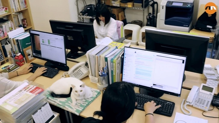 99C748496003B7C20A5D91