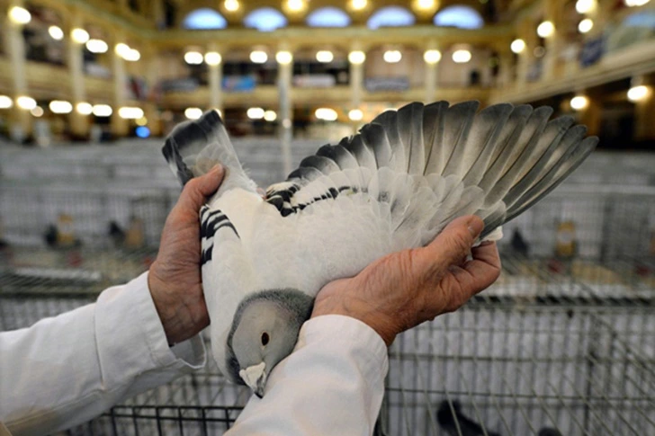 992D9E455FD8007B0768B1