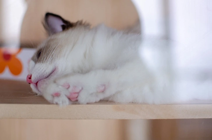 996B2B475F3A6F1A0B40F8