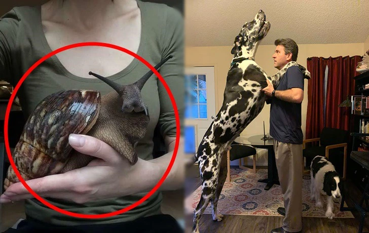 9988813D5F20C6612B12FC