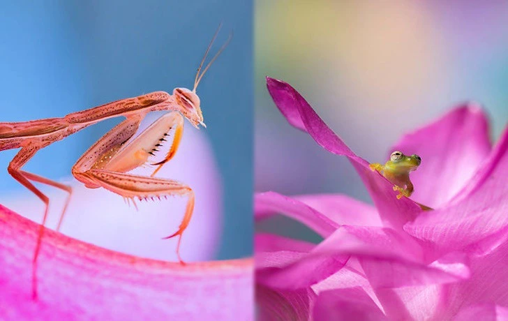 9912CC445F3BA39507DDF7