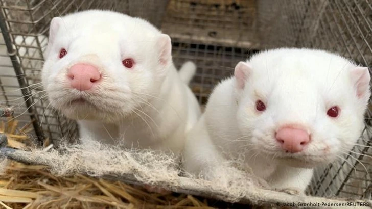 99D176345FCDC3B82A522B