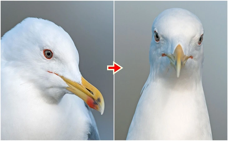 9965823B5FF6579C06B630