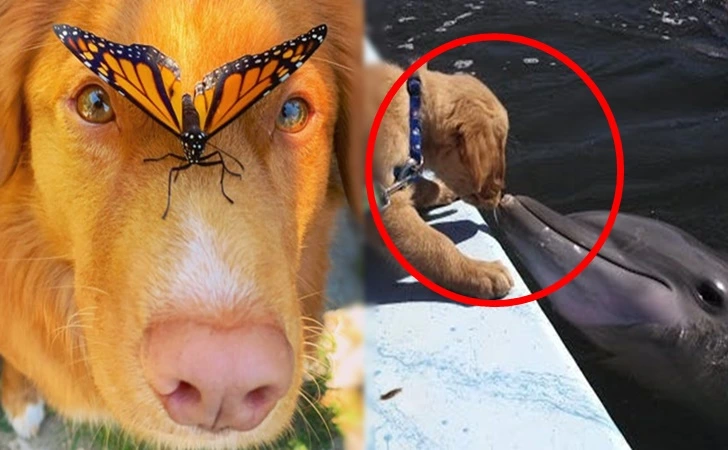 99164B395FF39D5B04CF80