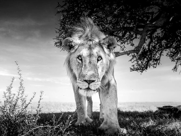 9948B8485F7A97152F73B6