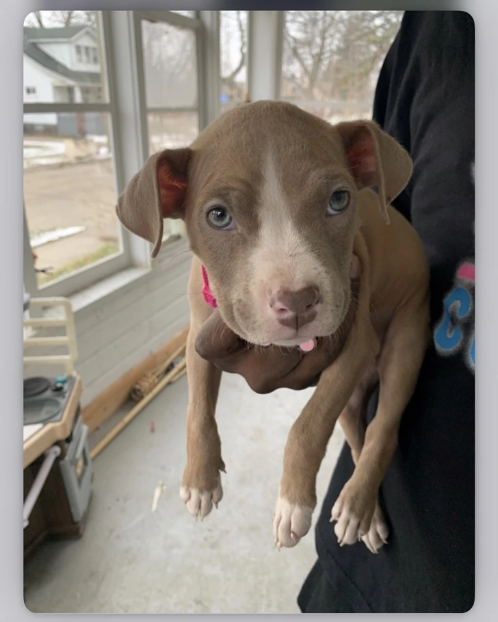 996EDD4F60026CC00AF70A