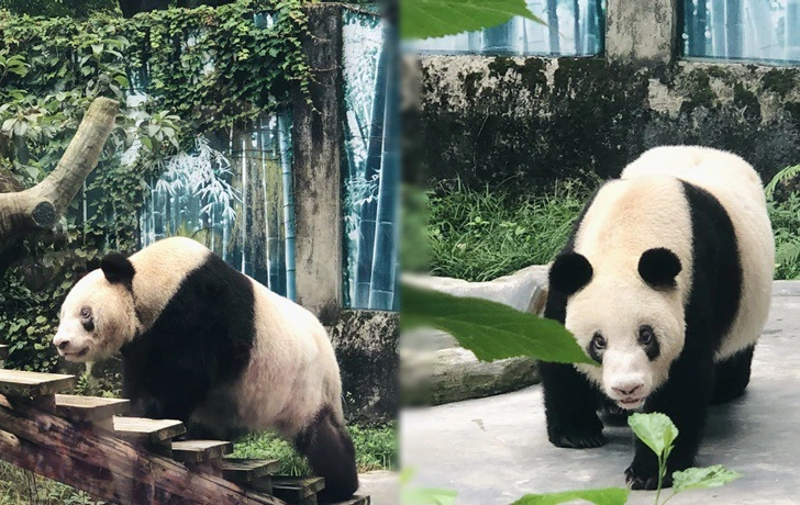 9967AB4A5F3C779A1E136B