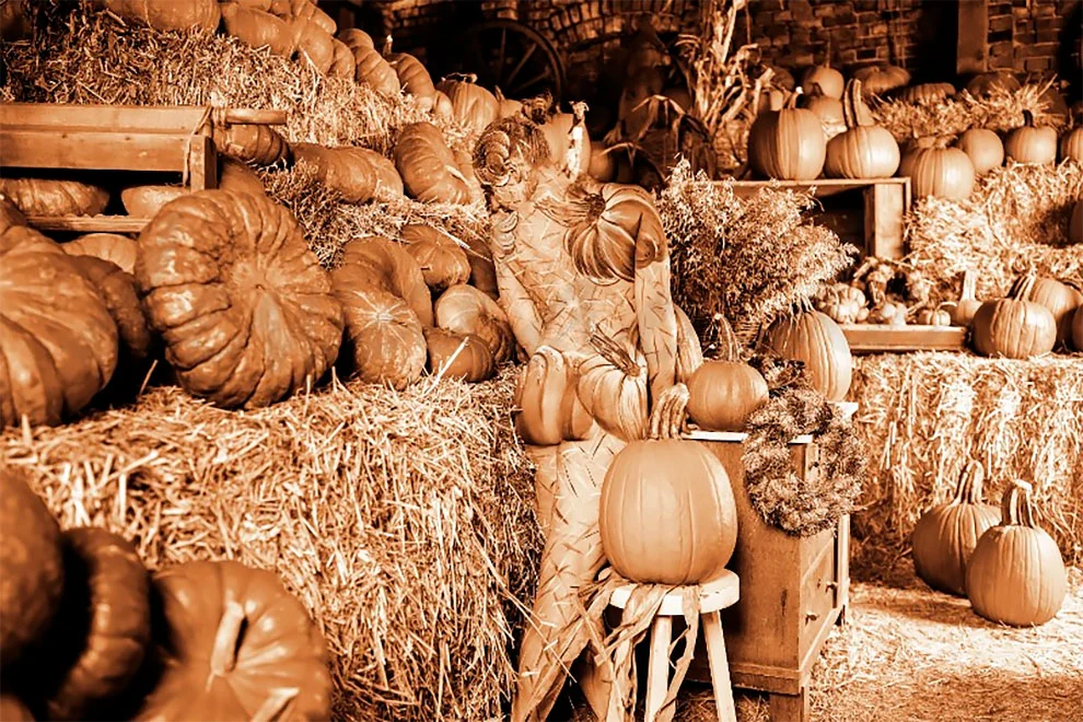 99C4283B5F51CF040A1EDB