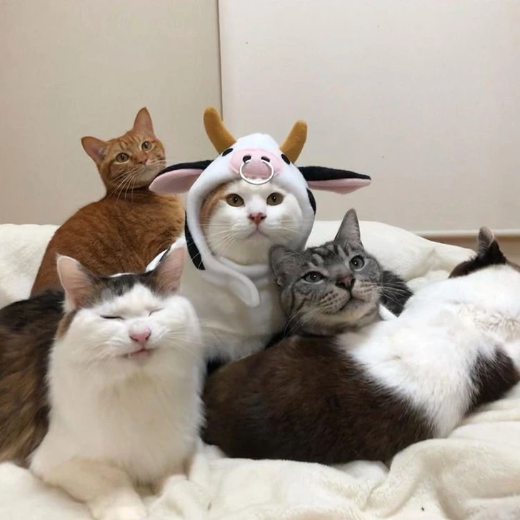 99EC7D47601757BB0B7335