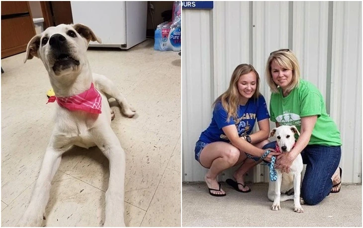 99EF31425F7973452EC413