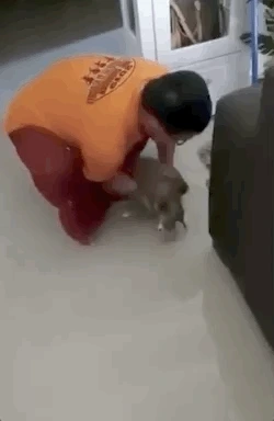 9915B9455FB651980E3413