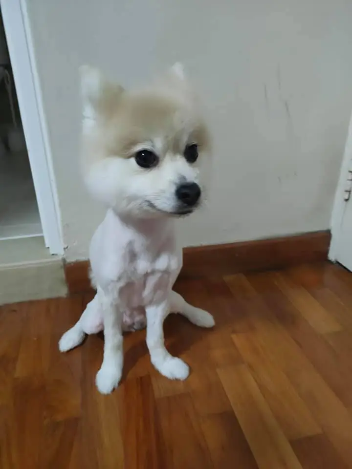 999FBC4A5FFD3A16124797