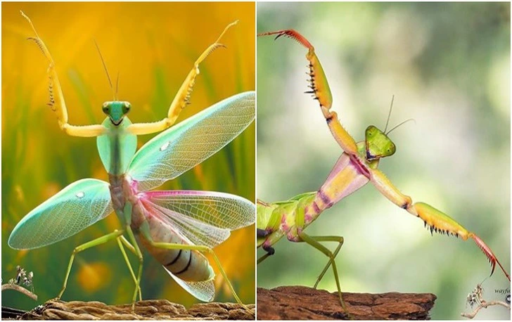 9905894C5F376D9C2CB999