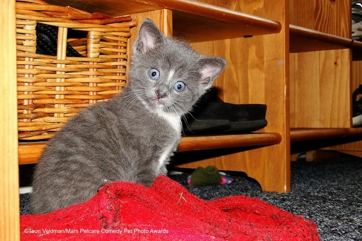 99B7C5405F73E1DA159698