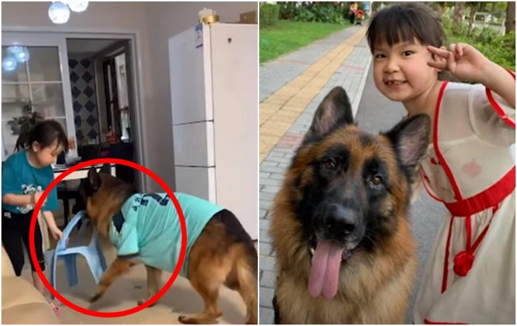 9950F2335F6BFC5F16C16B