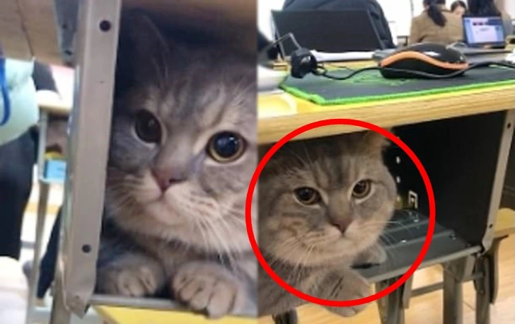 995803365FCAE09C0C19AC