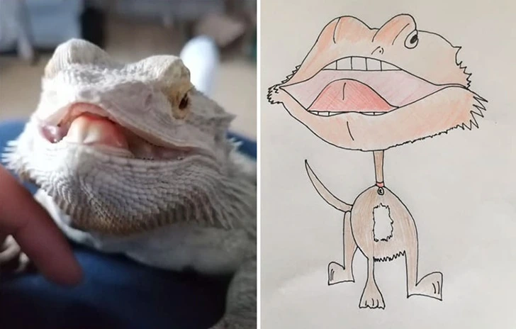 9930BA435F640E031E4524