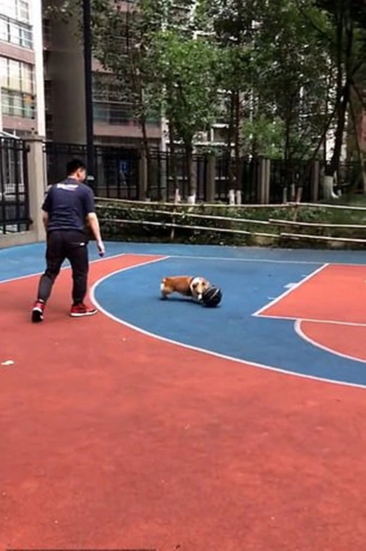 9986183D5FF950560CEE10