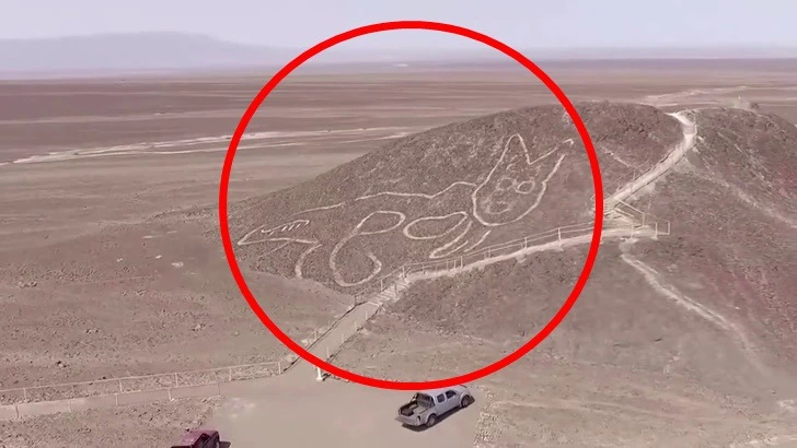 993099505FA7D7AB3995C2