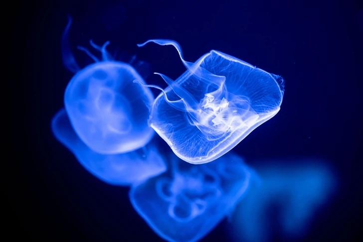 99231C405F700DD7204FFB