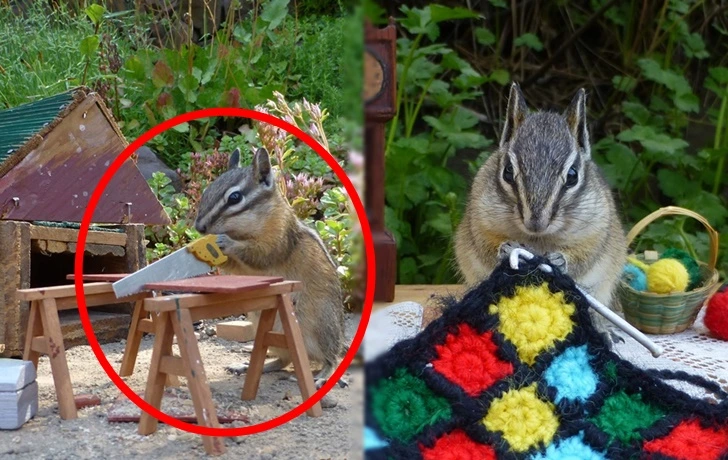 99C434485FC2E6EE0CEDD0