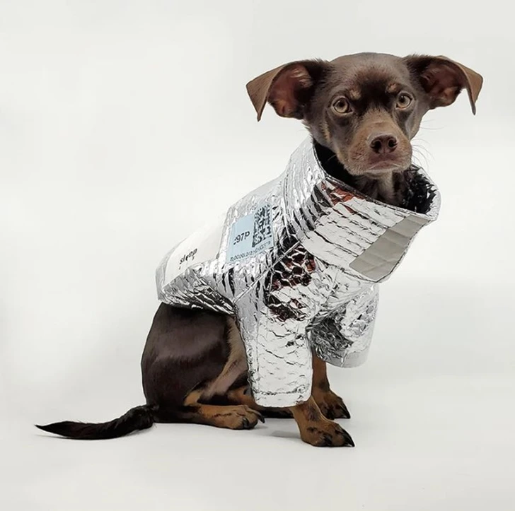 994179415FEFBE540960D2