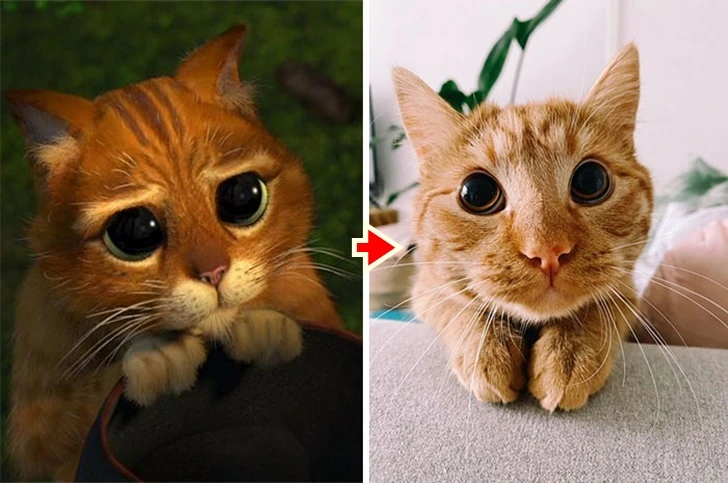 9928B9385FBD1264135D9E