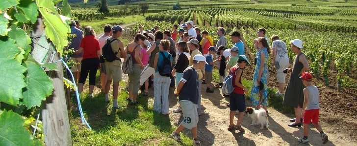 993D24415D2AD1601FD260