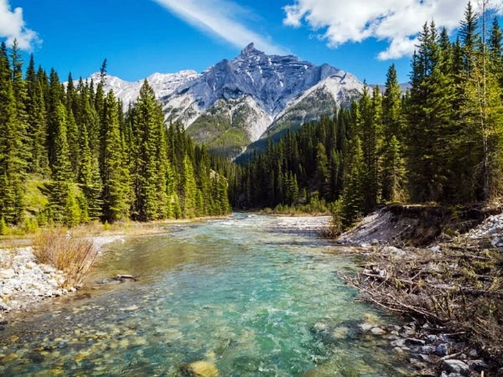 99D4254C5FF240540ACFE3