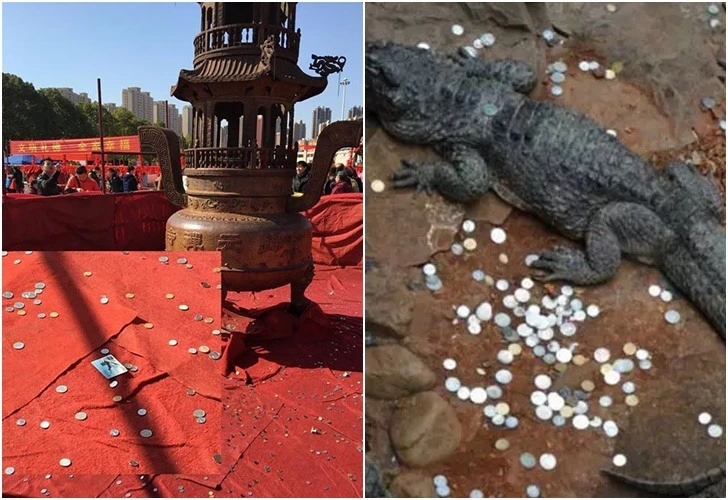 99A1AE475E1036FC2E73A6