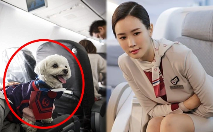 99C4F3335FF7E0420A40EB