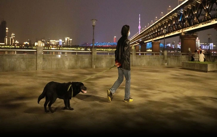 998CE7395FB5028F410C77