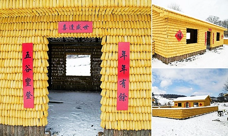 9966DA345FD5AC661D78B3