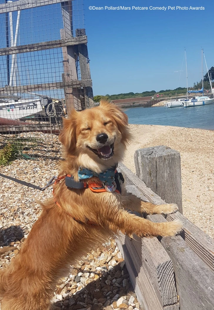 99458B4C5F73E1DA16034B