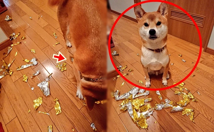 99BCB5365FF51E890F77DD