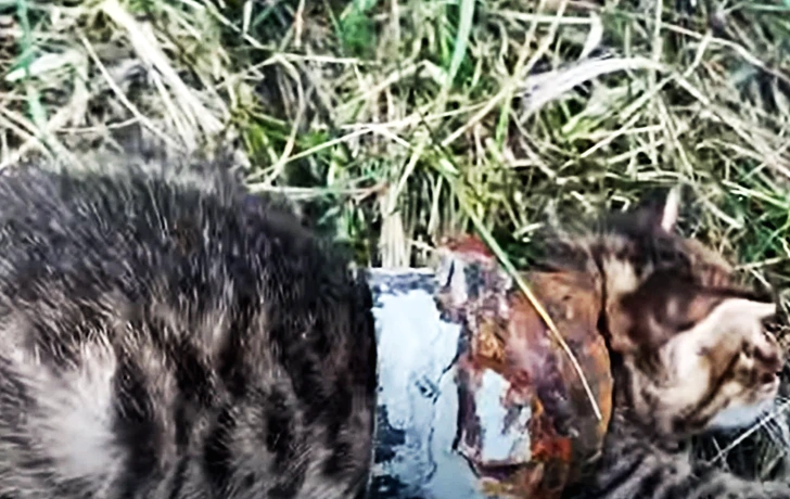 99F15E465FDA82E908BEF7